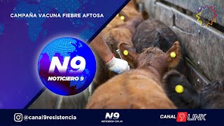 CAMPAÑA VACUNA FIEBRE AFTOSA  NOTICIERO 9 [upl. by Enelrats910]