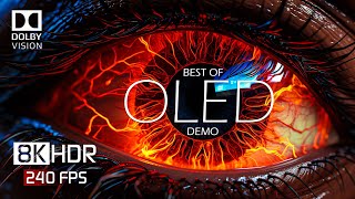 8K HDR 240 FPS Dolby Vision  Special OLED Demo [upl. by Haroppiz217]