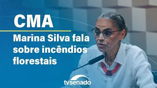 Comissão de Meio Ambiente ouve ministra Marina Silva sobre queimadas – 4924 [upl. by Yunick494]