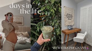 DAYS IN THE LIFE announcing pregnancy catching up plant nursery new desk etc [upl. by Yk]