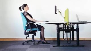 Importance of Posture by Ocee Ergonomics [upl. by Otrebtuc]