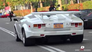 Americana Manhasset Concours 2014 Arrivals  Part 1 [upl. by Etteyniv440]