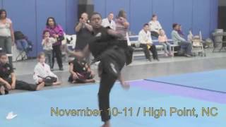 Tiger Rock Martial Arts National Tournament in High Point NC 2017 [upl. by Nagaem]