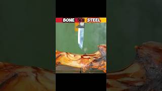 Hardest Bone Vs Hardest Steel  How Strong is Knife💥 [upl. by Phebe]