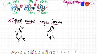 Reglajul genetic la eucariote [upl. by Nilrev]