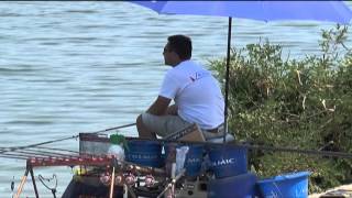 Italian Fishing TV  TG Fipsas 2013  06 [upl. by Pandora]