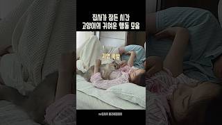 한밤중부터 아침까지 고양이 관찰카메라🐱🎥 [upl. by Je]