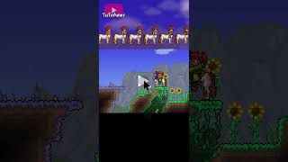 Montura de Centauro EN TERRARIA [upl. by Burnside]