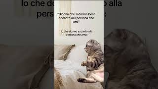 ✨GIOCO DEI MEME”✨ al LINK IN BIO✨🆕🔥 memes catmemes funny humor perte memeitaliani memeita [upl. by Aisyle659]