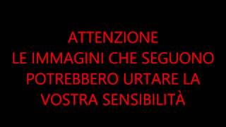 Alcune immagini dal fiume Magra dopo il ritrovamento di un cadavere [upl. by Gerdeen]