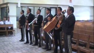 ENTRE TUS MANOS  MARIACHI SAN ANTONIO quotEL ORIGINALquot de DON JOSE MACEDO [upl. by Nehgam]