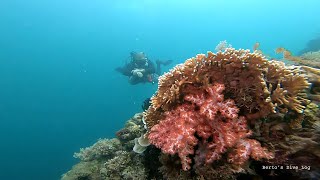 Scuba Diving at Cabilao Island Bohol  Gopro underwater videos [upl. by Buroker428]