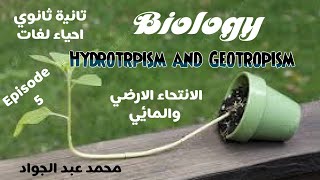 Episode 5 I Geotropism and Hydrotropism I [upl. by Hluchy]