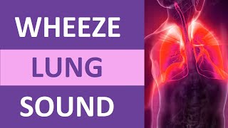 Wheezing Lung Sound Audio High Pitch  Nursing Adventitious Lung Sounds NCLEX Review [upl. by Nomad]