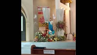 St Michael archangel church happy fiesta 🫰 highlights sundayworship [upl. by Boggers]