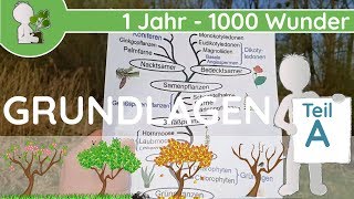 📚 1 Jahr  1000 Wunder  Grundlagen Teil A GeschichteEntwicklung  BotanikGrundlagenWissen [upl. by Eihtak]