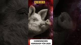 Schwein Chinese Horoscope 2025 [upl. by Assenaj982]