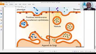 Cours sur les échanges cellulaires et les notions dendocytose et exocytose [upl. by Joo]