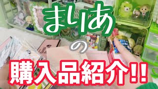 【購入品紹介】いろいろ購入してきました💗 [upl. by Lay]