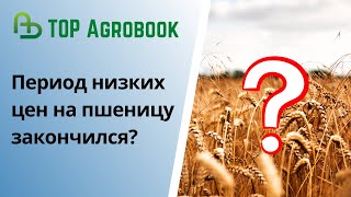 Период низких цен на пшеницу закончился  TOP Agrobook обзор аграрных новостей [upl. by Alyakim]