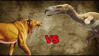 SaberToothed Tiger vs Terror Bird  SPORE [upl. by Zabrina]