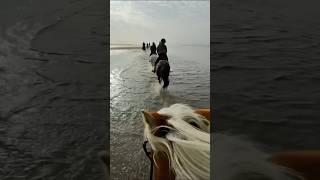 VikiSarina galloppieren durchs Meer 🏇 großen Wunsch erfüllt  Reiten am Strand ✨ ViktoriaSarina [upl. by Everick45]