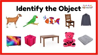 Identify the object based on Picture  Object Identification for kids  Identifying things for kids [upl. by Gintz]