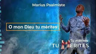 Marius Psalmiste  TU MERITES LYRIC [upl. by Aivle887]