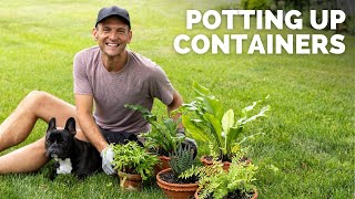 Planting Up Some LastMinute Spring Containers amp Perennials  Gardening with Wyse Guide [upl. by Ecirtnuahs]