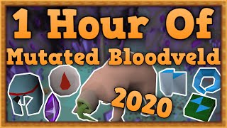 OSRS Mutated Bloodveld Slayer Guide 2020 [upl. by Congdon]