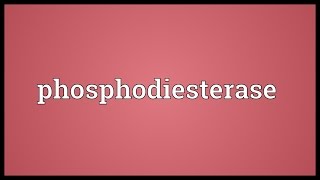 Phosphodiesterase Meaning [upl. by Ylecic]