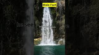 male fact  fact  fact videos shorts [upl. by Constancy76]