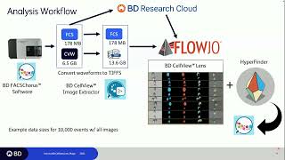 Using BD FACSDiscover™ S8 Cell Sorter Data Data Management and High Dimensional Analysis 7 Nov 24 [upl. by Aundrea280]