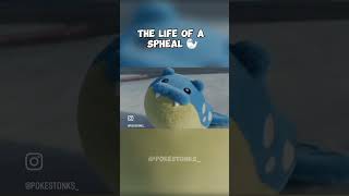 The Life of a Spheal pokemon pokemongo shinypokemon pokemontcg [upl. by Winnah]