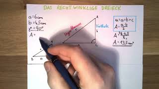 Rechtwinkliges Dreieck  Fläche und Satz von Thales [upl. by Evette724]