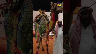 Arabian Food Festival Poppys Hotel Madurai [upl. by Oxley370]