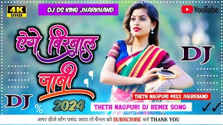 AEGEBIRNALJANITHETHNAGPURISONG DJREMIXSONG NEWHITSDHAMAKADJ DJDSJHARKHAND [upl. by Kreg]