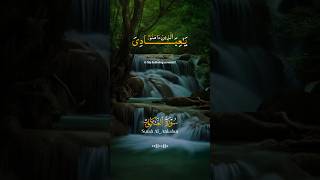 Ya ibadi allazina aamanu beautiful 😍recitation of Holy Quran ❤️islamicvideo ytshorts viralshorts [upl. by Ayak128]