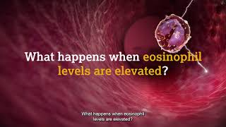 What are eosinophils [upl. by Cynde]