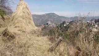 Himalayan view  Ramgarh land  best rate   nainital property mukteshwarproperty [upl. by Nomahs51]