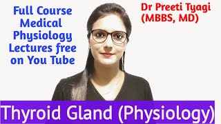 Thyroid Gland  16  Anatomy Iodine Metabolism [upl. by Billie]