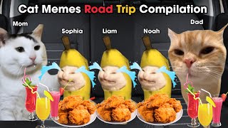 Cat Memes Road Trip Compilation Full [upl. by Vi]