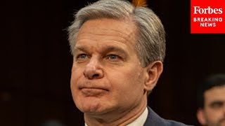 JUST IN FBI Director Chris Wray Grilled By House Intelligence Committee Members [upl. by Artimed310]