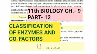 Class 11 BiologyCh9 Part12Classification of enzymes amp CofactorsStudy with Farru [upl. by Ninazan12]