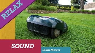 Relaxing sound of Lawn MowerEngine Lawn MowerGrassWhite Noise [upl. by Neehsar632]