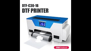 30cm XP600 DTF Printer Instructions on Installation ProgramUnpacking dtf printing dtfprinter [upl. by Enawd]