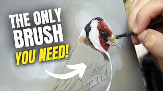 The BEST BRUSHES for Painting Realism How To Paint Bird Feathers [upl. by Patrich407]