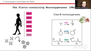 Maria Laura Mascotti – Ancestral sequence reconstruction of cofactordependent enzymes [upl. by Weixel]