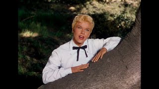 Doris Day  quotSecret Lovequot 1953 • Music Video  Film Clip Calamity Jane • HD • HQ Audio • Lyrics [upl. by Codel]