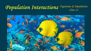 Population Interactions  Organisms amp Populations Part 5  Biology Class 12NEET  Hindi [upl. by Cilla]